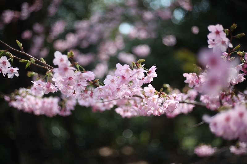 IMG_0146 IMG_0146